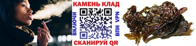 где найти   Таштагол  это клад  ГАШ Ice-O-Lator 