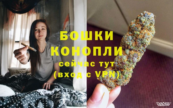 шишки Ладушкин