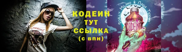 шишки Ладушкин