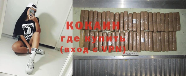 PSILOCYBIN Лабытнанги