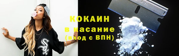 PSILOCYBIN Лабытнанги