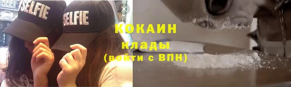 PSILOCYBIN Лабытнанги