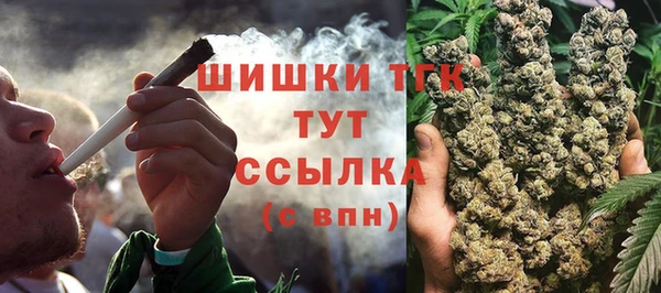 шишки Ладушкин