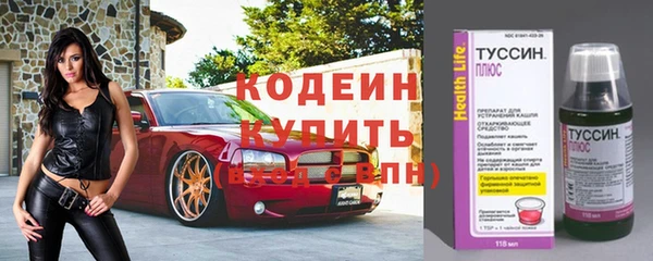 шишки Ладушкин