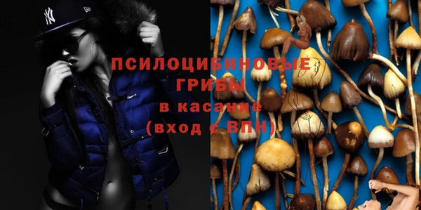 PSILOCYBIN Лабытнанги